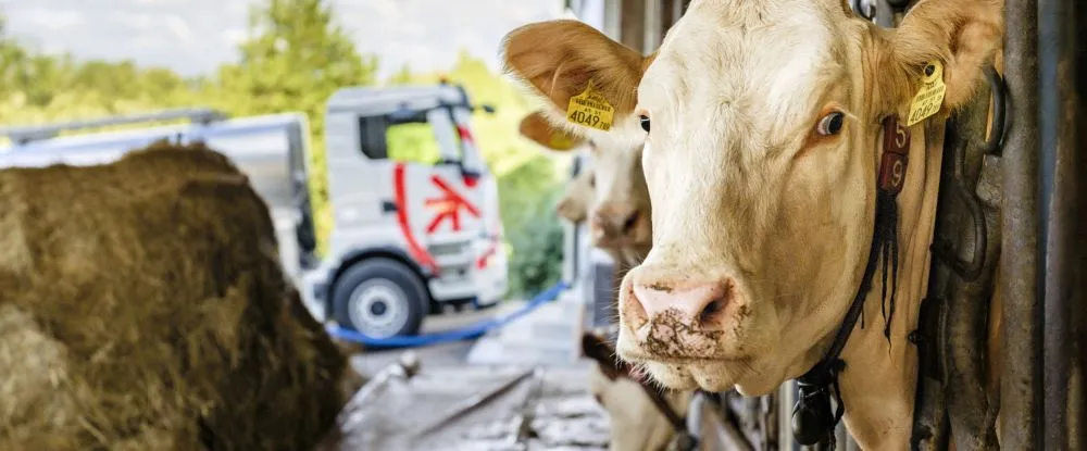 REDER Transportlogistik++ - Milchlogistik
